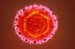 virus-hepatitisa-b