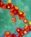 rubella-virus