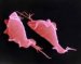 trichomonas-vaginalis