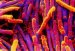 enterokolitis-uzročnik-clostridium-dificile