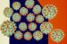humani-papiloma-virus