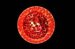herpes-simplex-virus