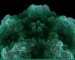parvovirus-b19