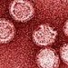 virus-hepatitisa-d