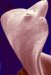 fasciola-hepatica