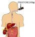 poremećaj-metabolizma-fruktoze