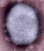 monkeypox-virus