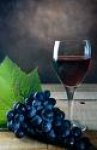 crnim-vinom-protiv-raka-pluća