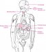 porodična-hiperlipoproteinemija