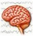 epilepsija