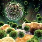 selen-snižava-nivo-hiv-a-u-organizmu