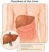 hepatitis-c