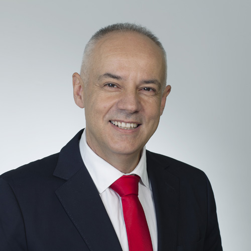 Prof. dr Zoran Radojičić - Prof. dr