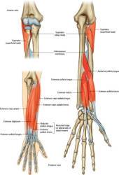 kako grickati noge s bolovima u zglobovima bol u zglobu kuka uz otmicu
