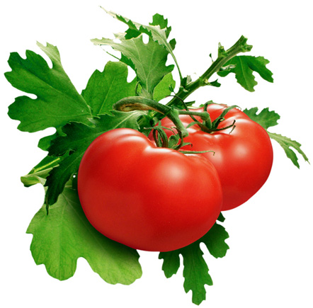 paradajz-zdrava-ishrana