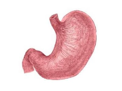 Akutna dilatacija želudca predstavlja iznenadno nakupljanje velike količine želudačnog sadržaja i gasova koji se ne resorbuju i ne transportuju u niže partije digestivnog trakta u odsustvu organske opstrukcije želudca.