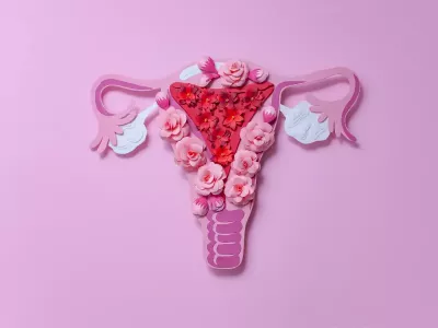 Ilustracija ženskog reproduktivnog sistema uz stručne savete farmaceuta o tome kada je odlaganje menstruacije bezbedno i kako se pravilno sprovodi hormonska terapija.