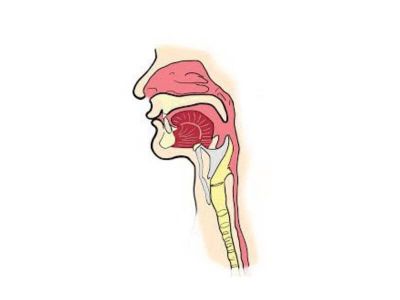 Tuberkuloza grkljana je pre upotrebe tuberkulostatika predstavljala ozbiljno i veoma teško oboljenje. Javljala se u 30% slučajeva plućne tuberkuloze.