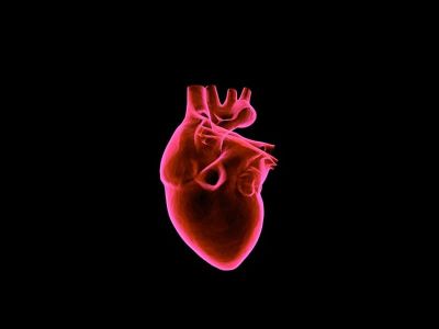 Akutni infarkt miokarda je izumiranje dela srčanog mišića zbog naglog prestanka cirkulacije kroz neku od arterija koje ishranjuju srce. Akutni infarkt je poslednja faza i samo jedan od oblika u razvoju koronarne bolesti (ishemijska bolest srca). Koronarna bolest se može manifestovati i kao stabila angina pectoris, nestabilna angina, vazospastična angina i asimtomatska ishemija miokarda. 