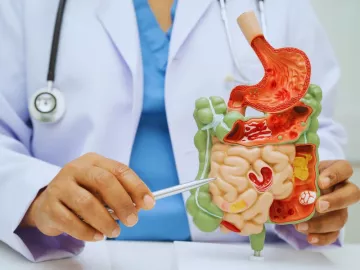 Endoanalni i endorektalni ultrazvuk