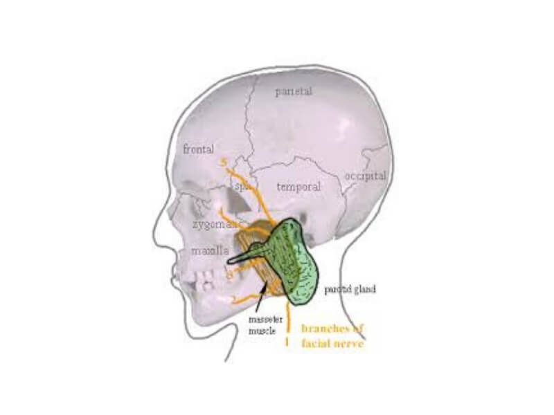 Akutni bakterijski sijaloadenitis