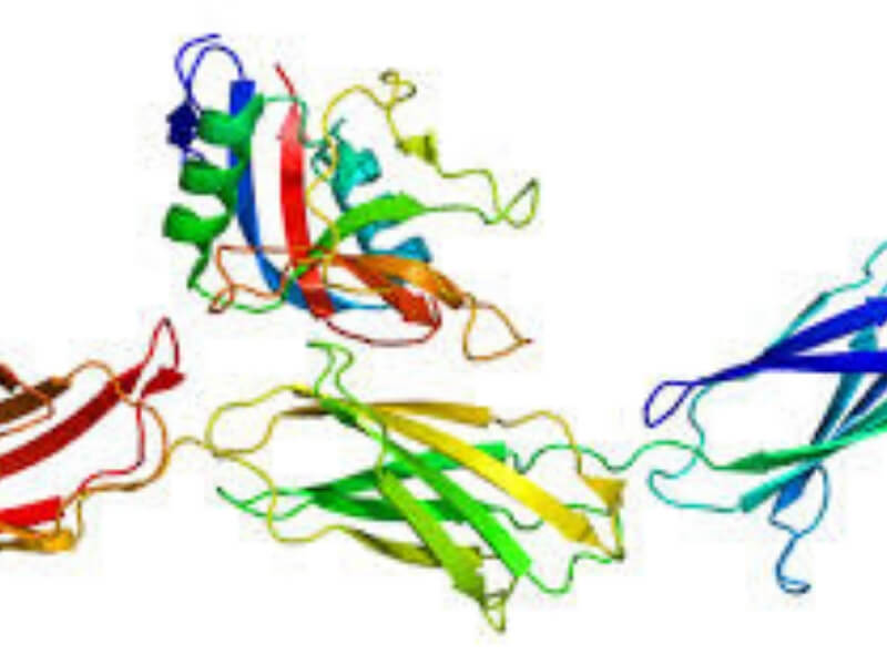 Gastroenteropatije sa gubljenjem proteina