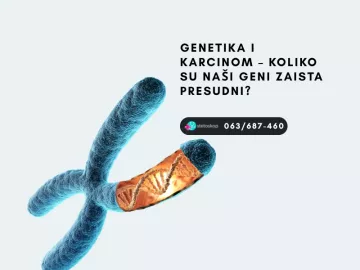 Genetika i karcinom – koliko su naši geni zaista presudni?