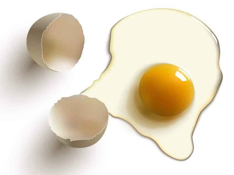 Jaja: namirnica koju je nutritivno teško nadmašiti
