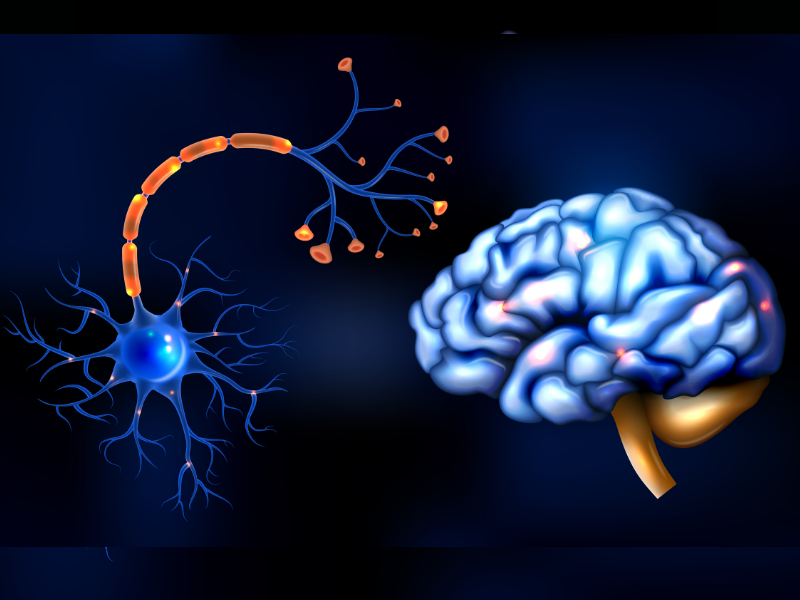 Dr Olivera Tamaš, neurolog: 30. maj Svetski dan multipla skleroze