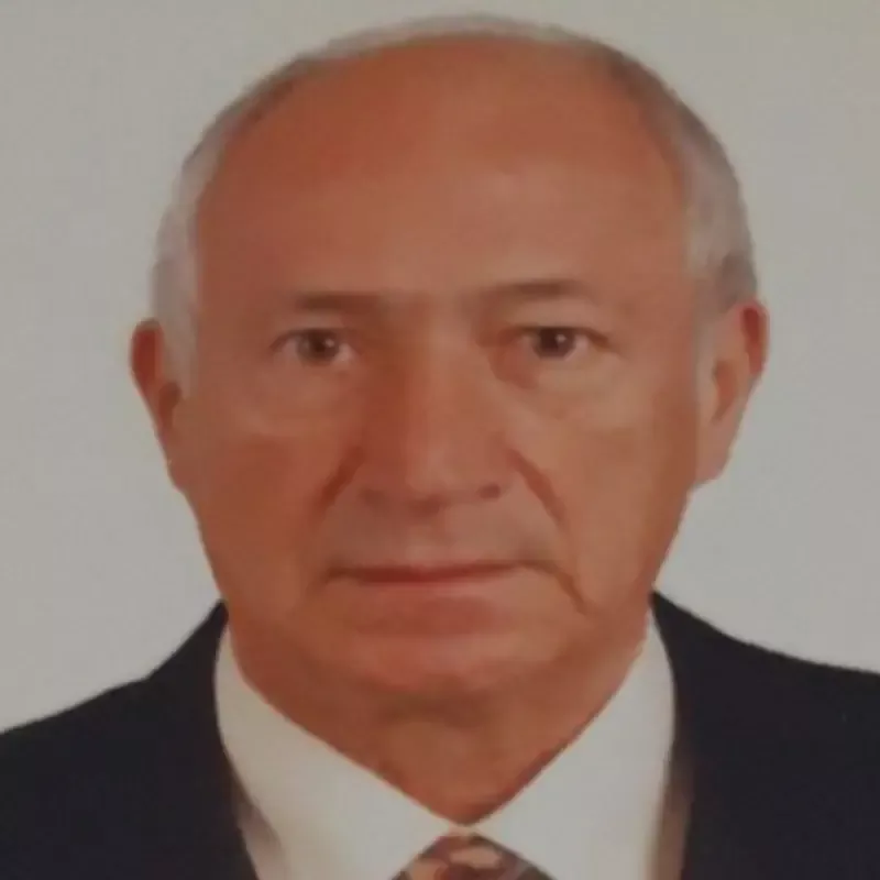  Vladimir Borišev