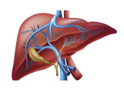 Insuficijencija jetre predstavlja oslabljenu funkcionalnu sposobnost jetre kao posledicu akutnog ili češće hroničnog oboljenja jetre.