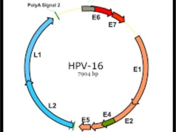 Humani papiloma virus - HPV