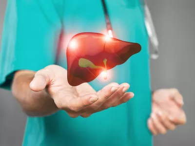Vaskularna mreža čini jetru podložnom poremećajima cirkulacije, tromboza portalne vene, opstrukcija jetrenih vena, Bad-Kjarijev sindrom i portalna hipertenzija.
