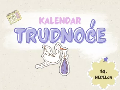 14. nedelja trudnoće Kalendar trudnoće, 14. nedelja
