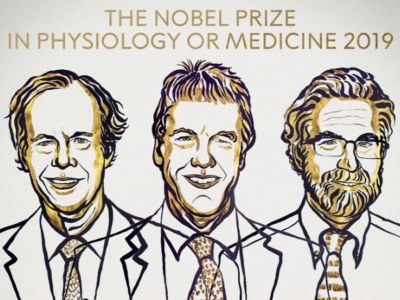 Ovogodišnja Nobelova nagrada u oblasti medicine i psihologije je otišla u ruke trojice naučnika, Vilijema Kelina, Grega Semenca i Pitera Retklifa, za istraživanje o prilagođavanju ćelija promenljivom snabdevanju kiseonikom, 
